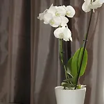 Helmin Kortteeri 酒店